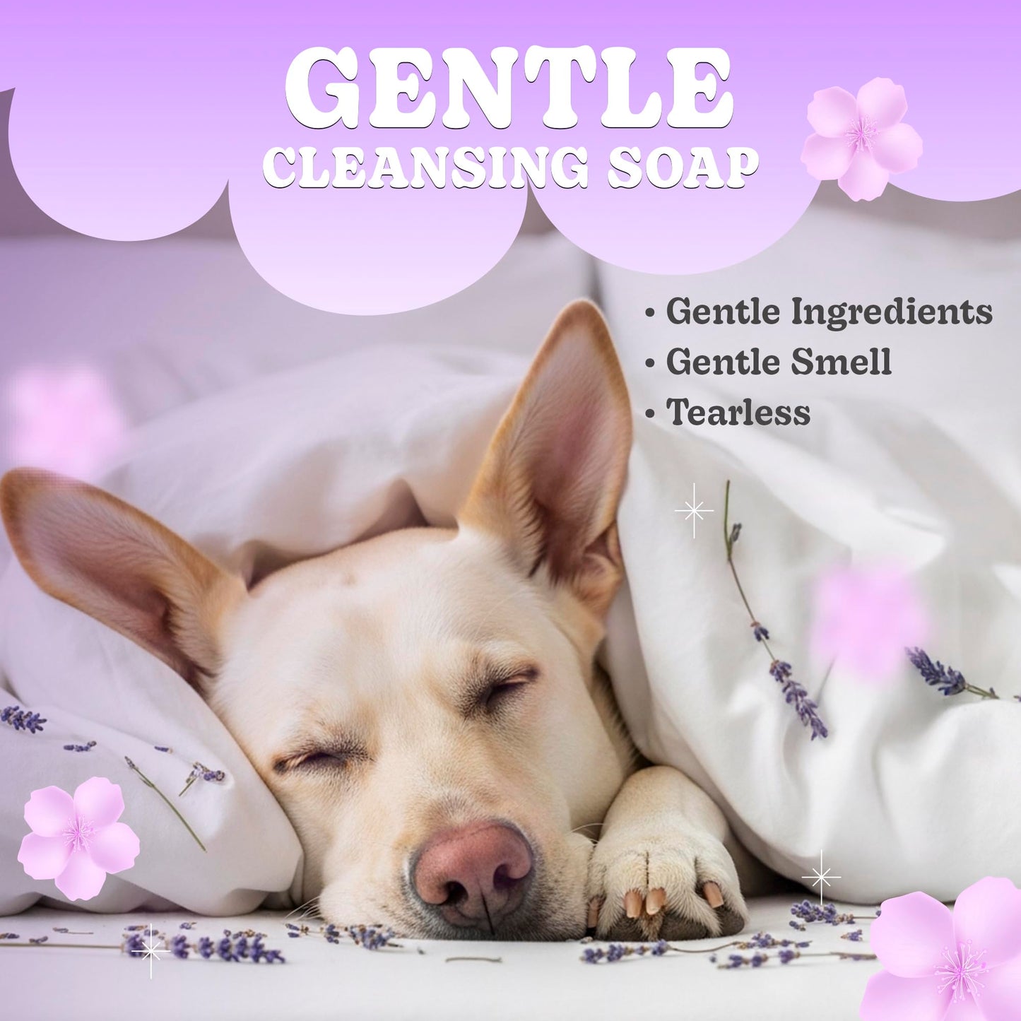 Lavender Dog Shampoo Bar 2 Pack – Gentle Pet Soap with Mango Butter & Nourishing Oils – Deodorizing Dog Shampoo for Smelly Dogs – Soothing, Hydrating Puppy Soap for Sensitive Skin & Odor Control
