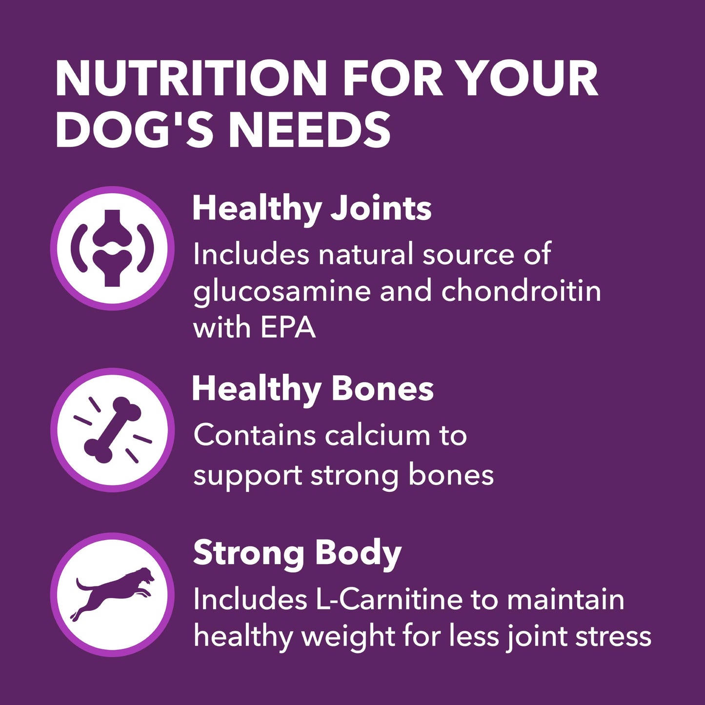 IAMS Advanced Health Mobility Support Chicken and Whole Grain Recipe Adult Dry Dog Food, 13.5 lb. Bag