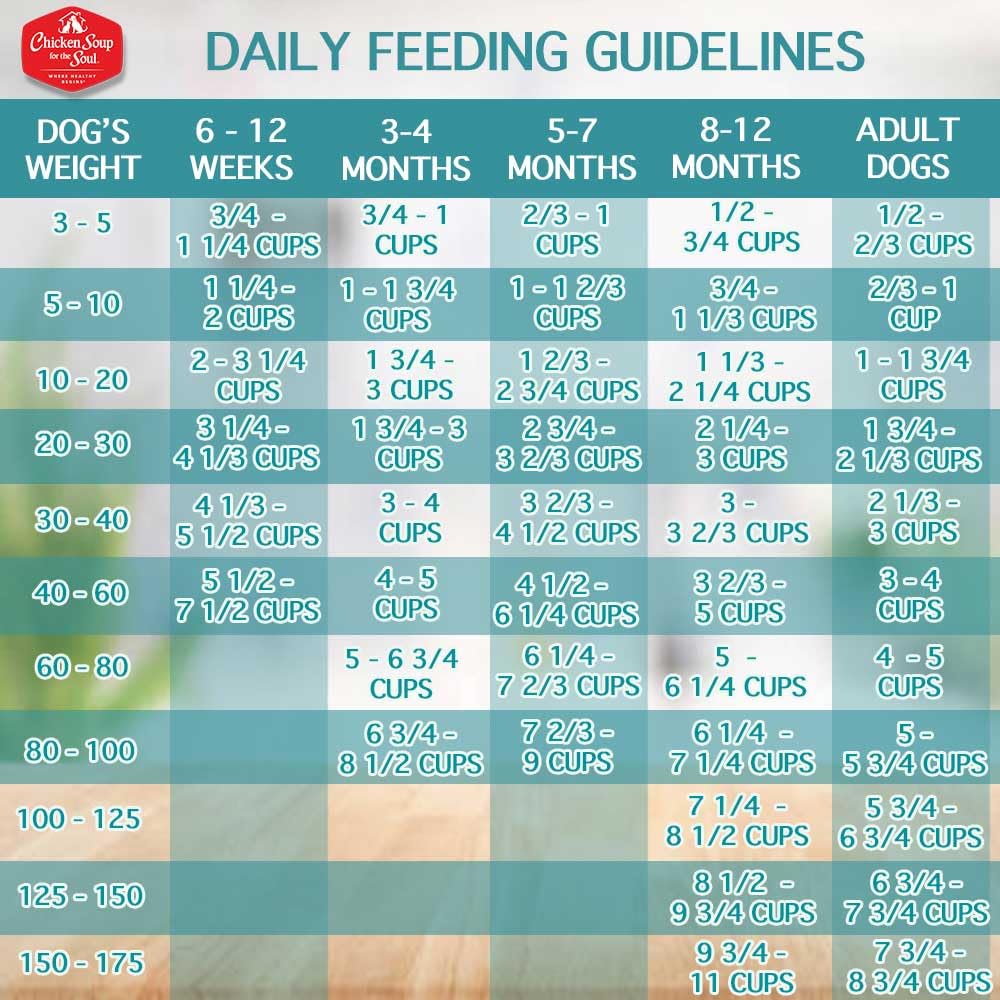 Chicken Soup for the Soul All Natural Premium Grain-Free All Life Stage Dry Dog Food, Real Meat First Ingredient, No By-Products, Added Taurine Supports Heart Health, Chicken, Pea & Sweet Potato, 22lb