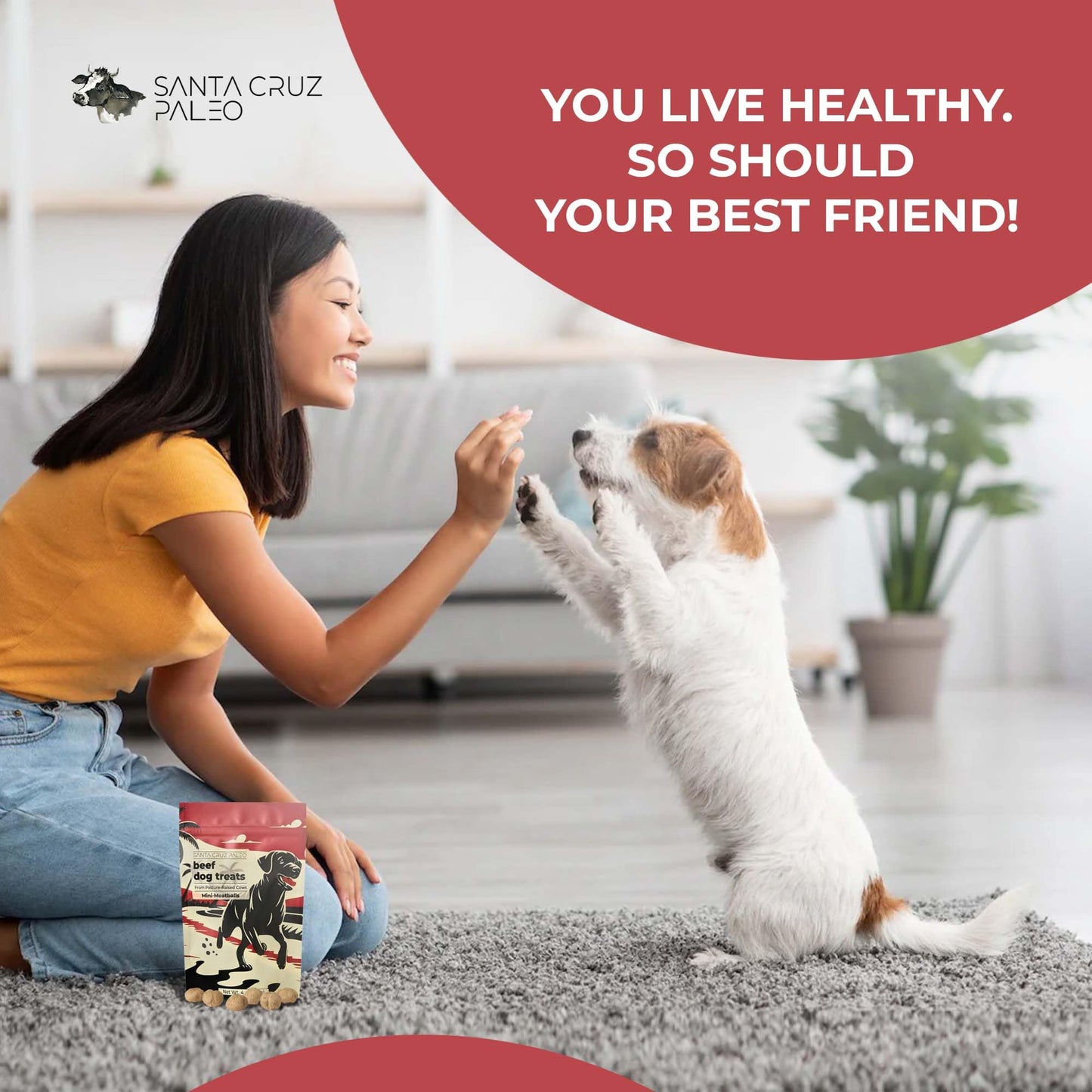 Santa Cruz Paleo Dog Treats, 4 oz Bag, Beef Liver Treats for Dogs with Beef Heart, Vitamin E, Healthy Mini Meatball Dog Training Treats or Food Topper Made with 100% Pasture Raised Beef, High Protein