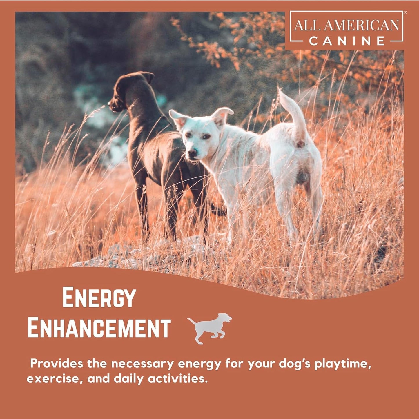 All American Canine Bulk Dog Weight Gainer – High Calorie Dog Food Supplement & Protein Powder for Rapid Weight Gain, Mass, and Recovery – Appetite Stimulant – 230 Servings