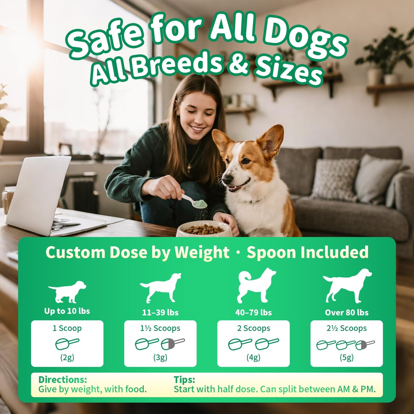 POPPAW Dog Dental Powder – Teeth Cleaning Powder with 6B CFU Probiotics, Enzymes & Antioxidants, Plaque & Tartar Off, Fresh Breath Support, No Brushing Oral Care, Mint Chicken Flavor, 75 Servings