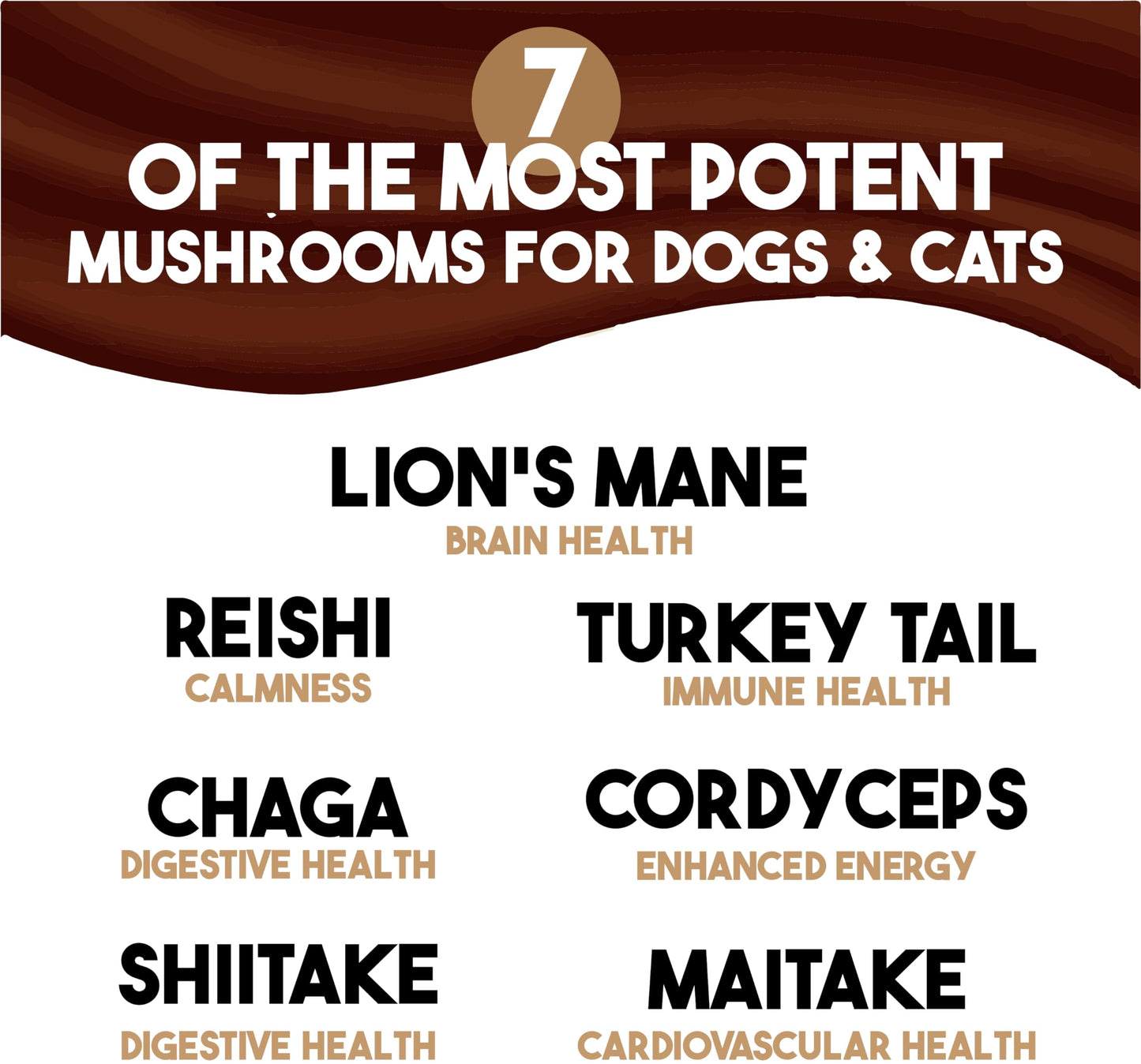 King Kanine Mushroom Plus, Protein & Joints 2 oz | Organic Powder to Improve Optimal Health & Pets Wellness | Supplement for Dogs & Cats Care Made with Fiber & Vitamins | Veterinarian Approved