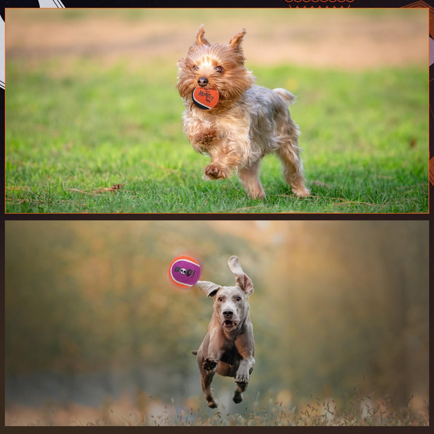 EXPAWLORER Squeaky Tennis Balls for Dogs - 12 Pcs Halloween Interactive Teething Chew Toys, Enrichment Dog Toys to Keep Them Busy, Fetch Training Balls for Large Medium Small Dogs