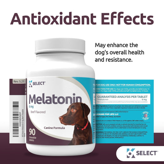 K9 Select Wellness Bundle for Dogs: Peanut Butter Flavored HMR Lignans (20mg, 90 Tablets) & Beef Flavored Melatonin (6mg, 90 Chewable Tablets) - Holistic Health Assistance - Small to Large Breeds