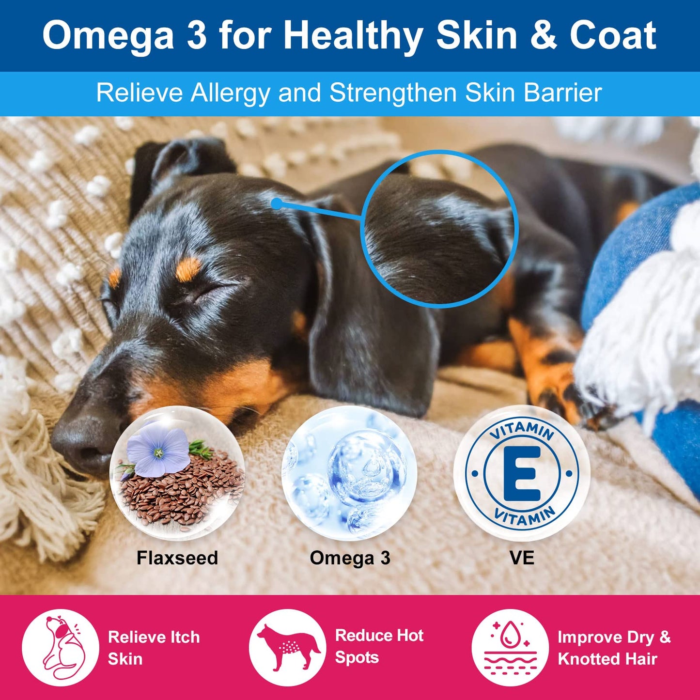 NATURE TARGET Dog Vitamins Powder, Probiotics & Digestive Enzymes for Gut Health, Glucosamine & Chondroitin & Omega 3, Complete Supplement for Homemade Dog Food, Joint & Skin & Immune Support