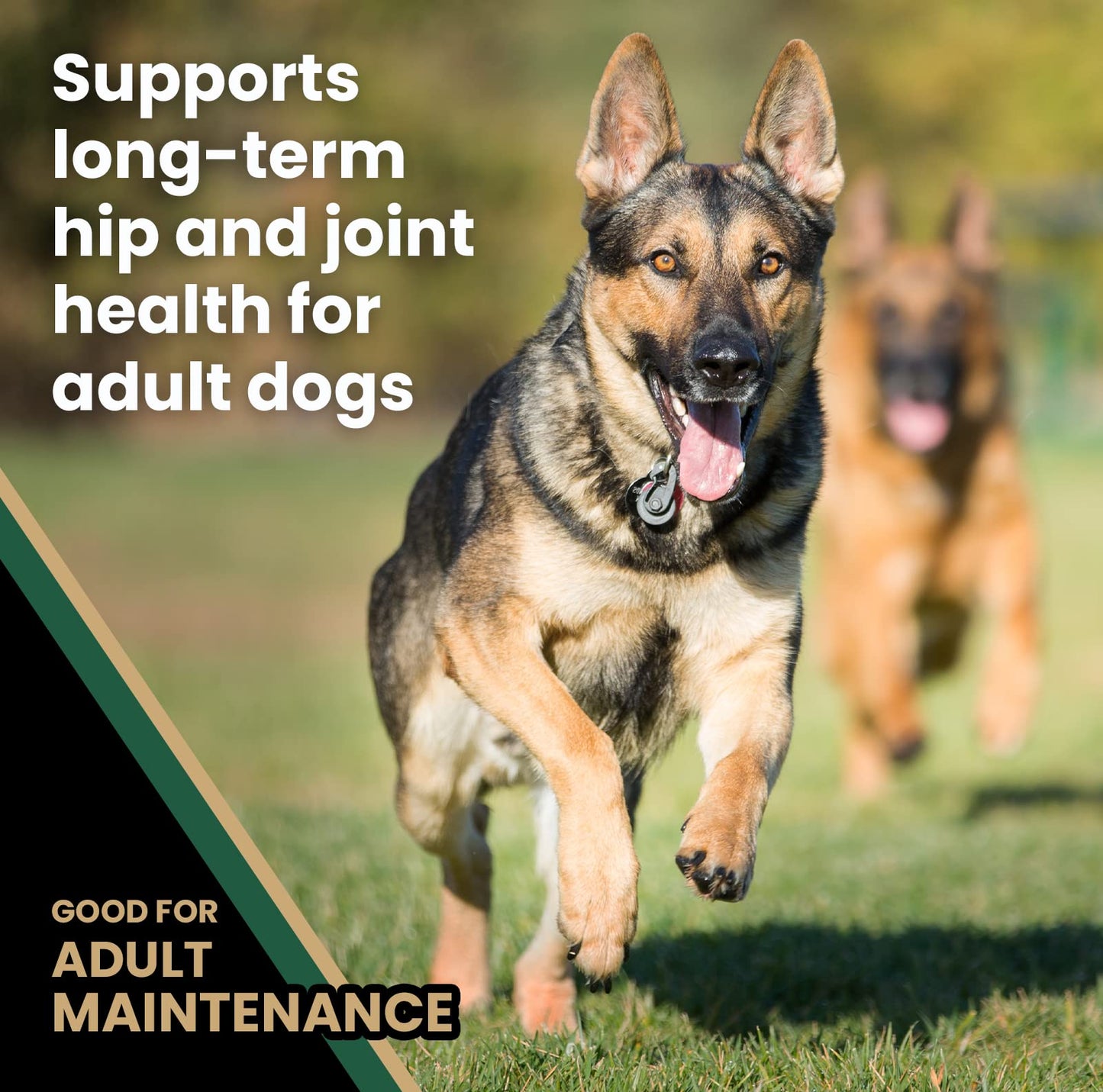 VICTOR Super Premium Dog Food – Purpose Hero Canine Kibble – Premium Gluten Free Dog Food for Active Adult Dogs – High Protein with Glucosamine and Chondroitin for Hip and Joint Health, 30lbs