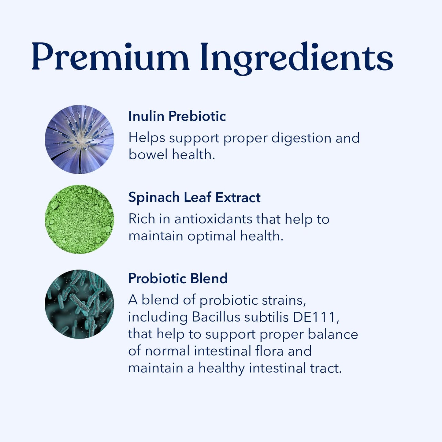 Addiction Wild Kangaroo & Apples Dry Dog Food - Limited Ingredient, Novel Protein for Dogs with Allergies, Grain-Free - Support Muscle Development & Manage Weight - Made in New Zealand 20lb