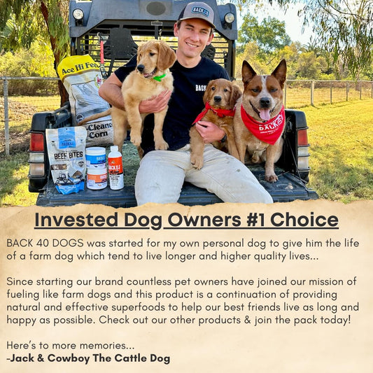 Pedigree Complete Nutrition Adult Dry Dog Food Roasted Chicken, Rice & Vegetable Flavor Dog Kibble, 3.5 lb. Bag (Pack of 4)