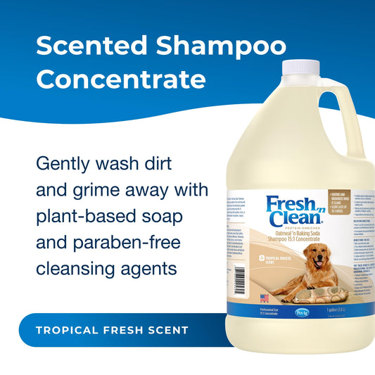 PetAg Fresh ’n Clean Oatmeal ’n Baking Soda Shampoo - Tropical Breeze Scent (15:1 Concentrate) - 1 Gallon - Nurtures Dry, Itchy Skin with Vitamin E & Aloe - Strengthens & Repairs - Soap Free