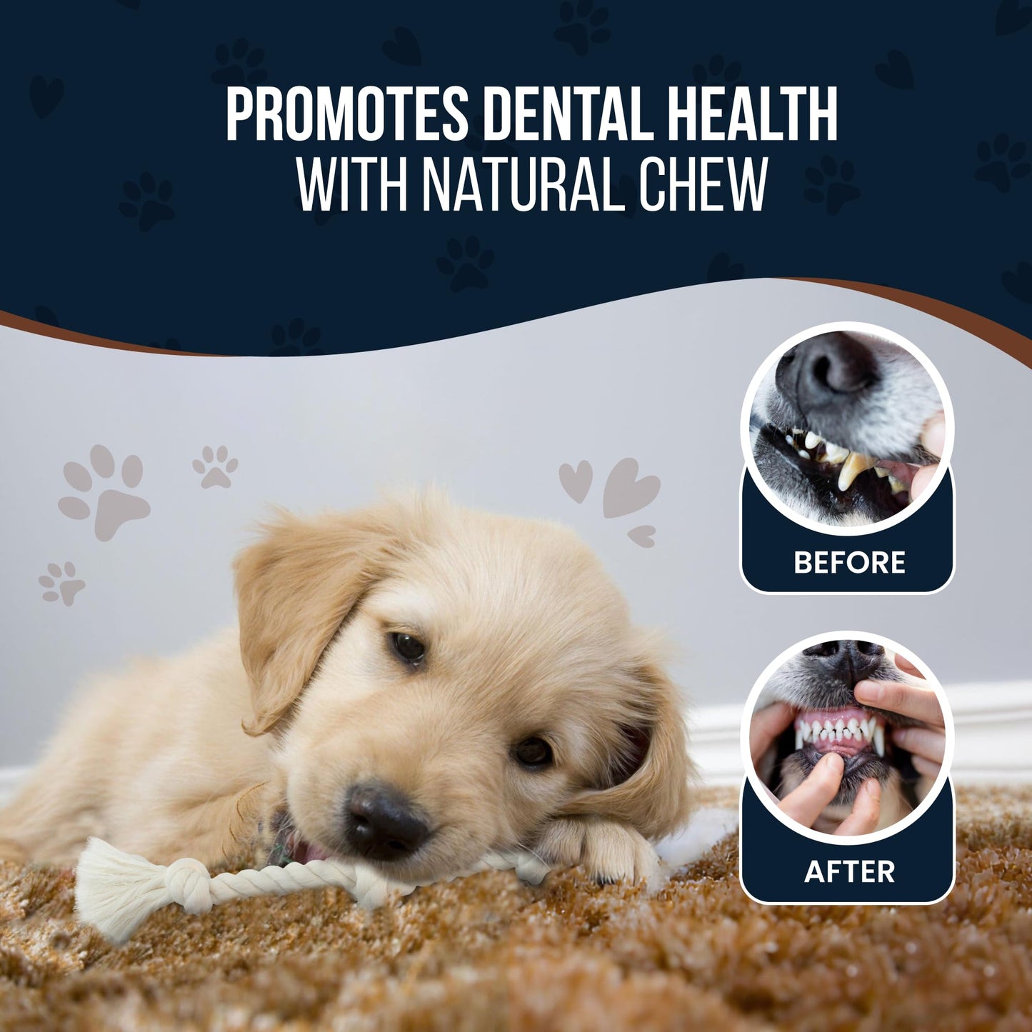 GOWGOW 4 Pack Real Coffee Wood Stick for Dogs 15-40 lbs, Puppy Teething Toys, 100% Natural Puppy Wood Chew Toys, Stress Relief - Woodden Bones for Dogs - Natural Rope Toys