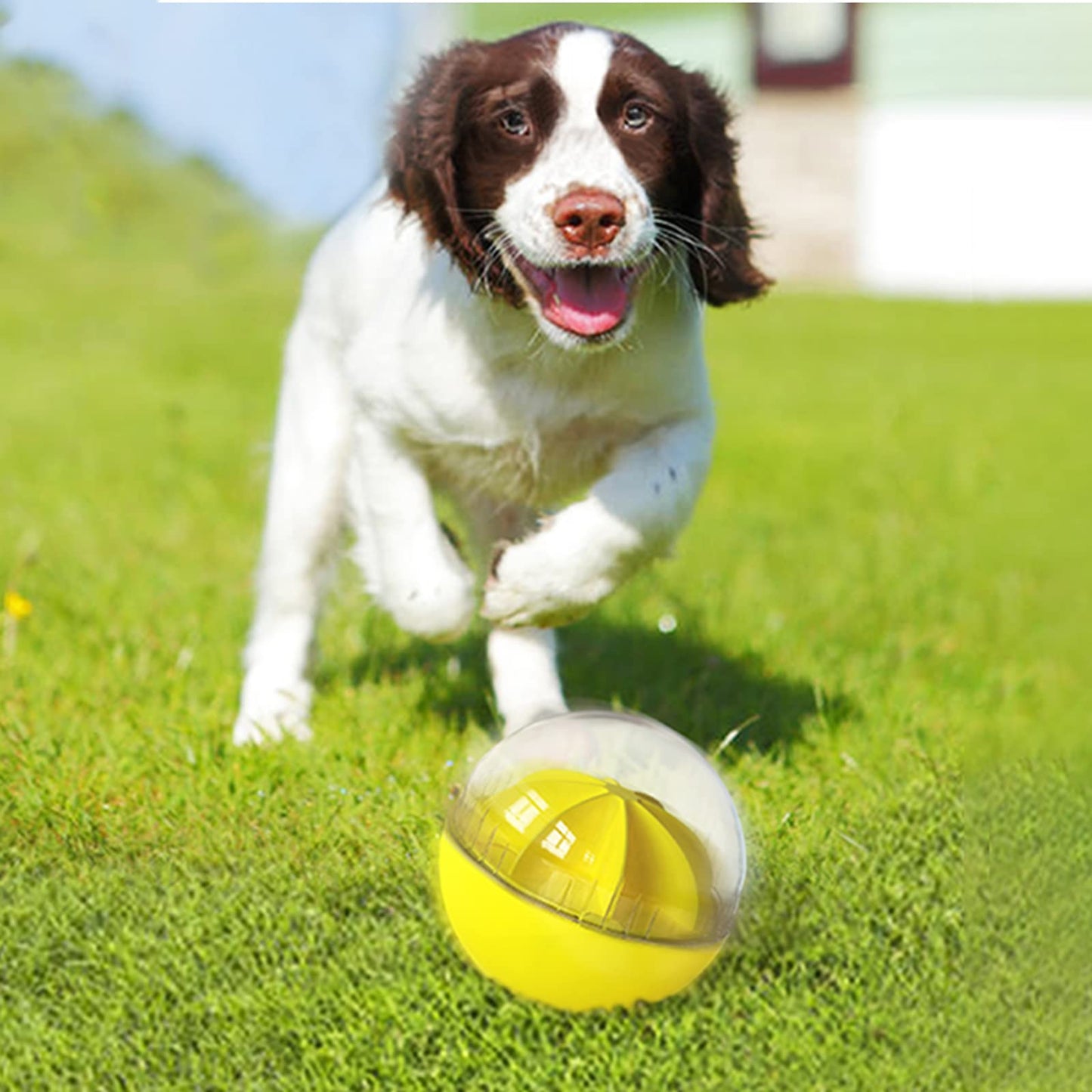 Monotre Dog Treat Ball, Dog Food Puzzle Slow Feeder Interactive Squeaky Mental Stimulation Toys, Cat Treat Dispenser Puzzle Toys Active Rolling Balls for Medium/Large Dog Breeds