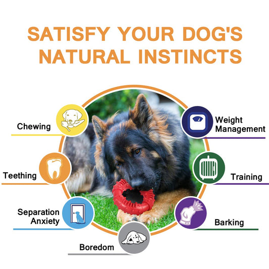 Dog Toys for Aggressive Chewers, Nearly Indestructible Tough Durable Natural Rubber Puppy Chew Toy for Large & Medium Breeds