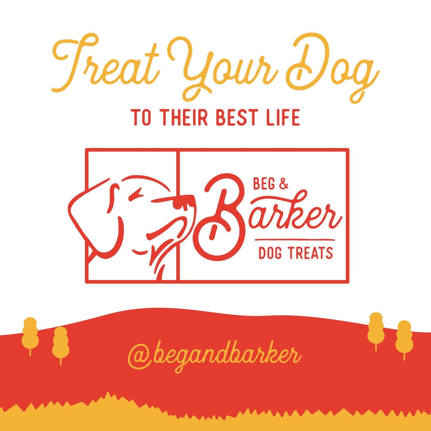 Beg & Barker Beef Liver Jerky for Dogs (4 Ounce, Pack of 1) - Dog Training Treats - Natural Dog Treats Made in The USA - Grain Free, Diabetic-Friendly, High Protein, Sugar-Free