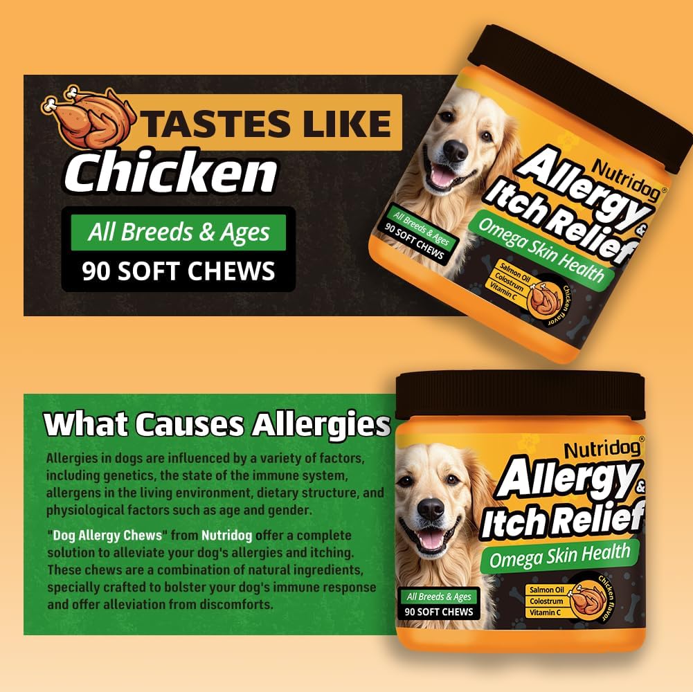 Nutridog Allergy Chews for Dogs - Dog Itching Skin Relief & Seasonal Allergy Support with Chamomile, Salmon Oil, Quercetin - Probiotic Dog Allergy Relief Treats, Chicken Flavor (90 Count, Chicken)