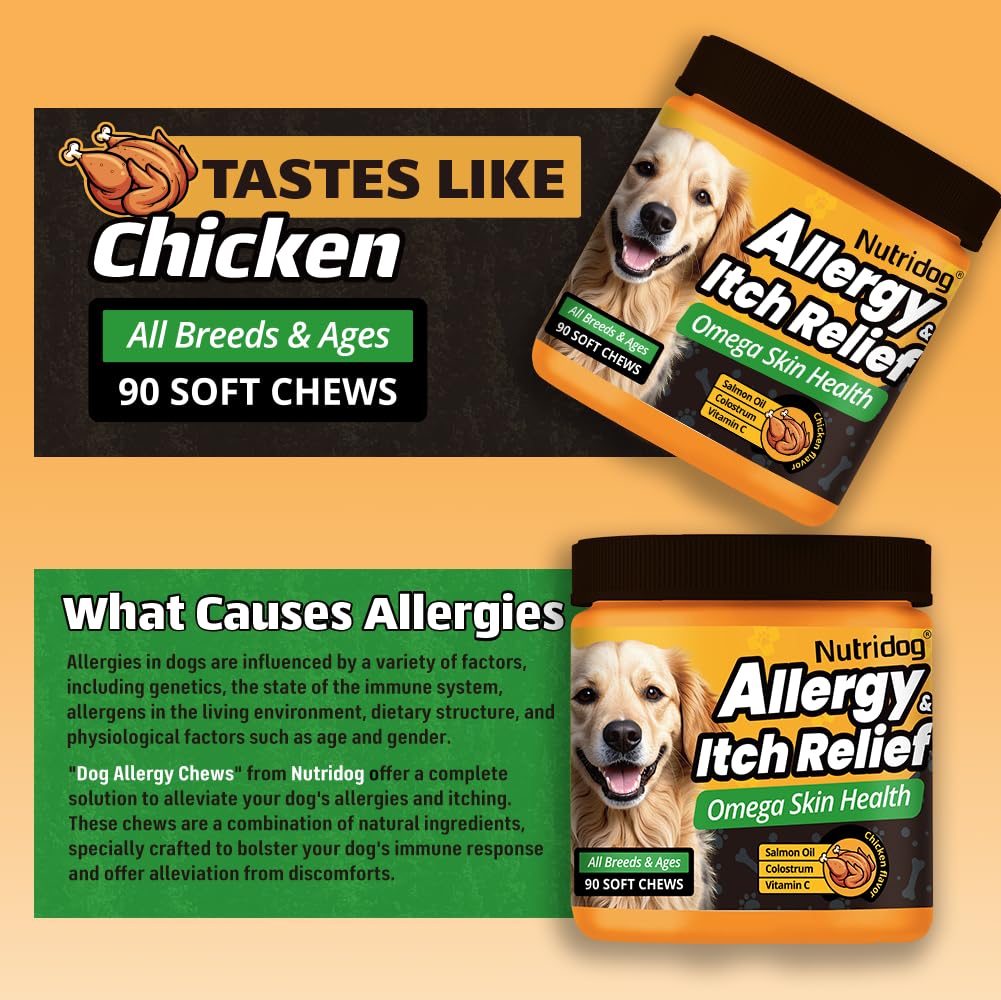 Nutridog Allergy Chews for Dogs - Dog Itching Skin Relief & Seasonal Allergy Support with Chamomile, Salmon Oil, Quercetin - Probiotic Dog Allergy Relief Treats, Chicken Flavor (90 Count, Chicken)