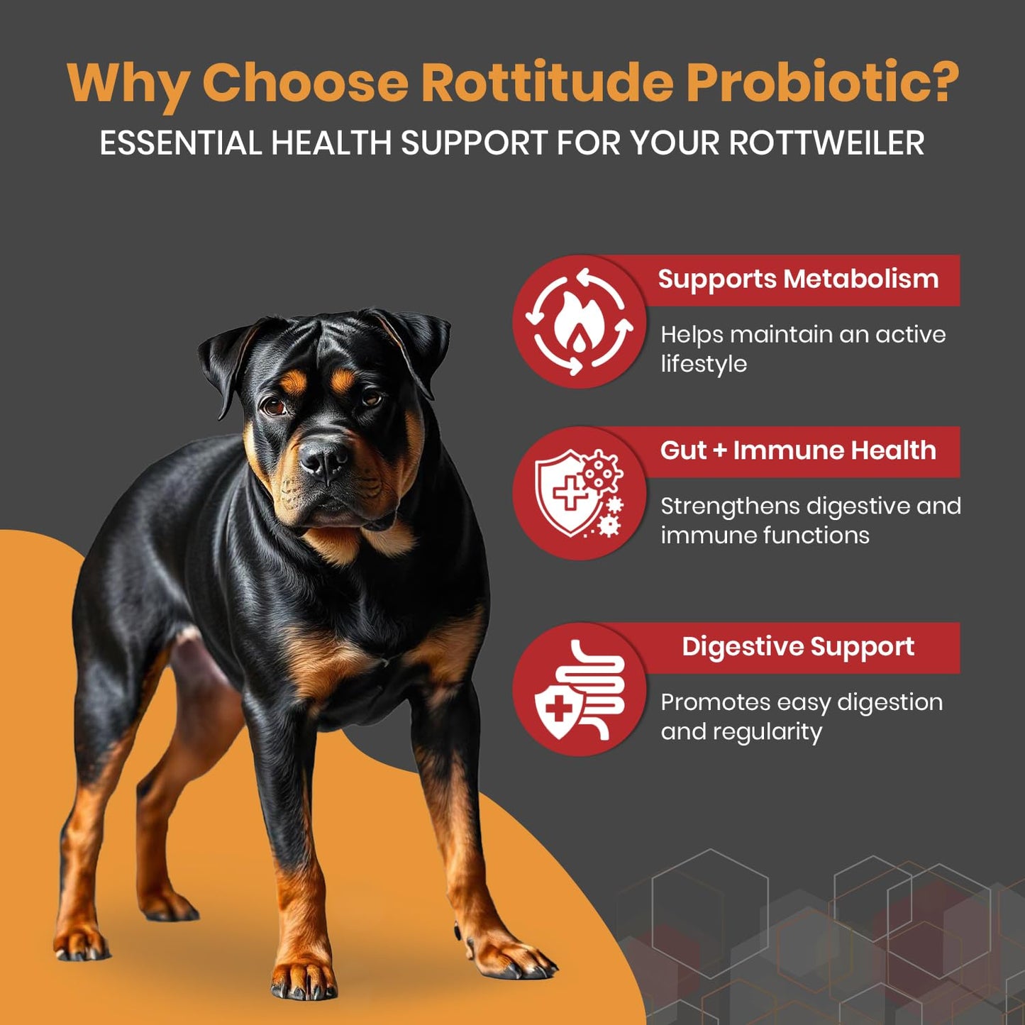 Rottitude Probiotics for Dogs – Natural Dog Probiotics for Digestive Health, Gut Health, Yeast, Itchy Skin & Itchy Ears – Probiotic for Dogs – Dog Probiotic Supplement for Rottweilers