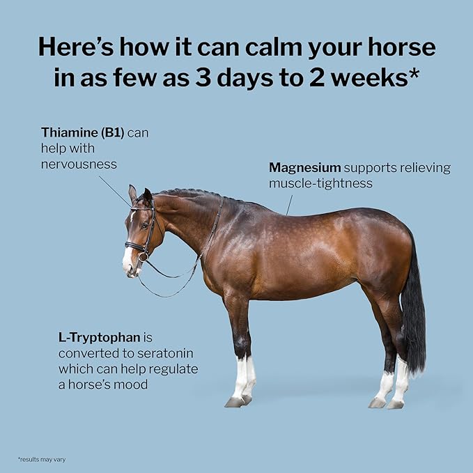 Formula 707 Calming Equine Supplement 10 lb Bag – 80 Servings – Anxiety Relief and Enhanced Focus for Horses – L-Tryptophan, Thiamine & Magnesium