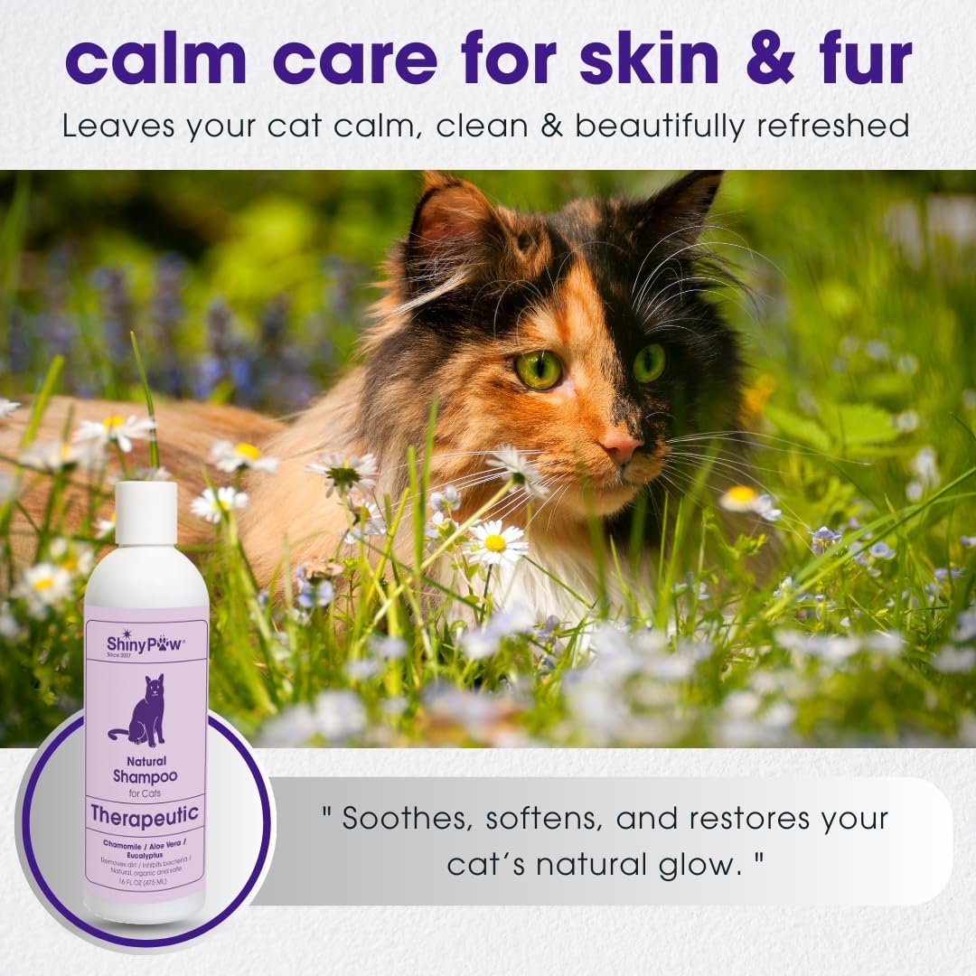 Natural Cat Shampoo for Itchy Skin with Chamomile, Aloe Vera & Eucalyptus by Shiny Paw 16 oz | Hypoallergenic Feline Shampoo for Sensitive Skin Itch Relief | for Adult & Senior Cats | Made in USA