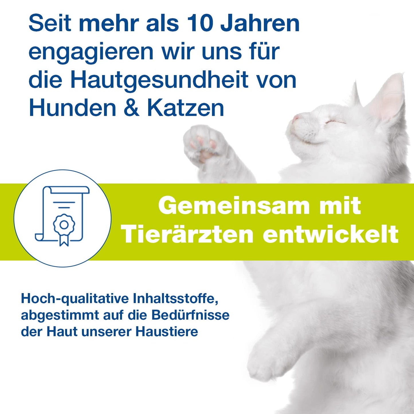 DOUXO S3 SEB Mousse, Dog & Cat Dandruff Solution, Soothing Leave-On Cat Mousse, Effective Mousse for Dog Dermatitis, Flaky & Oily Pet Skin, Hypoallergenic Fragrance, Dog Dandruff Mousse, 150ml