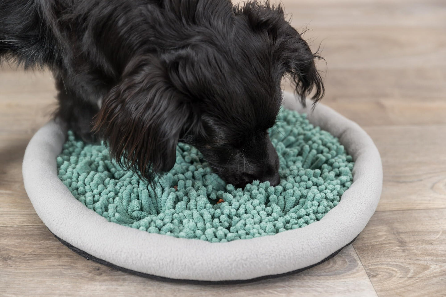 TRIXIE Snuffle & Seek Plate, Snuffle Mat for Dogs, Level 1 Interactive Dog Toys, Enrichment Puzzle Slow Feeder