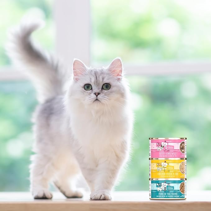 Weruva Cats in The Kitchen, Kitty Gone Wild with Wild Salmon Au Jus Cat Food, 6oz Can (Pack of 24)