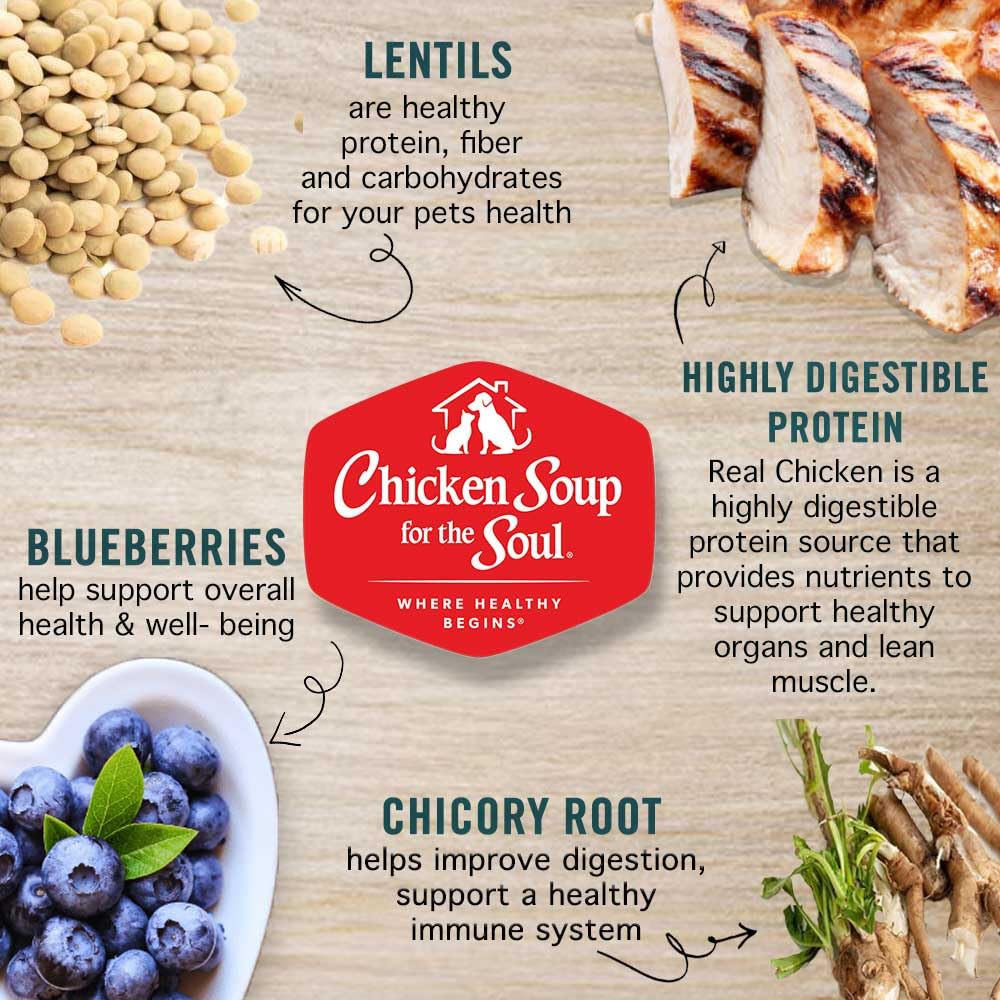 Chicken Soup for the Soul All Natural Premium Grain-Free All Life Stage Dry Dog Food, Real Meat First Ingredient, No By-Products, Added Taurine Supports Heart Health, Chicken, Pea & Sweet Potato, 22lb