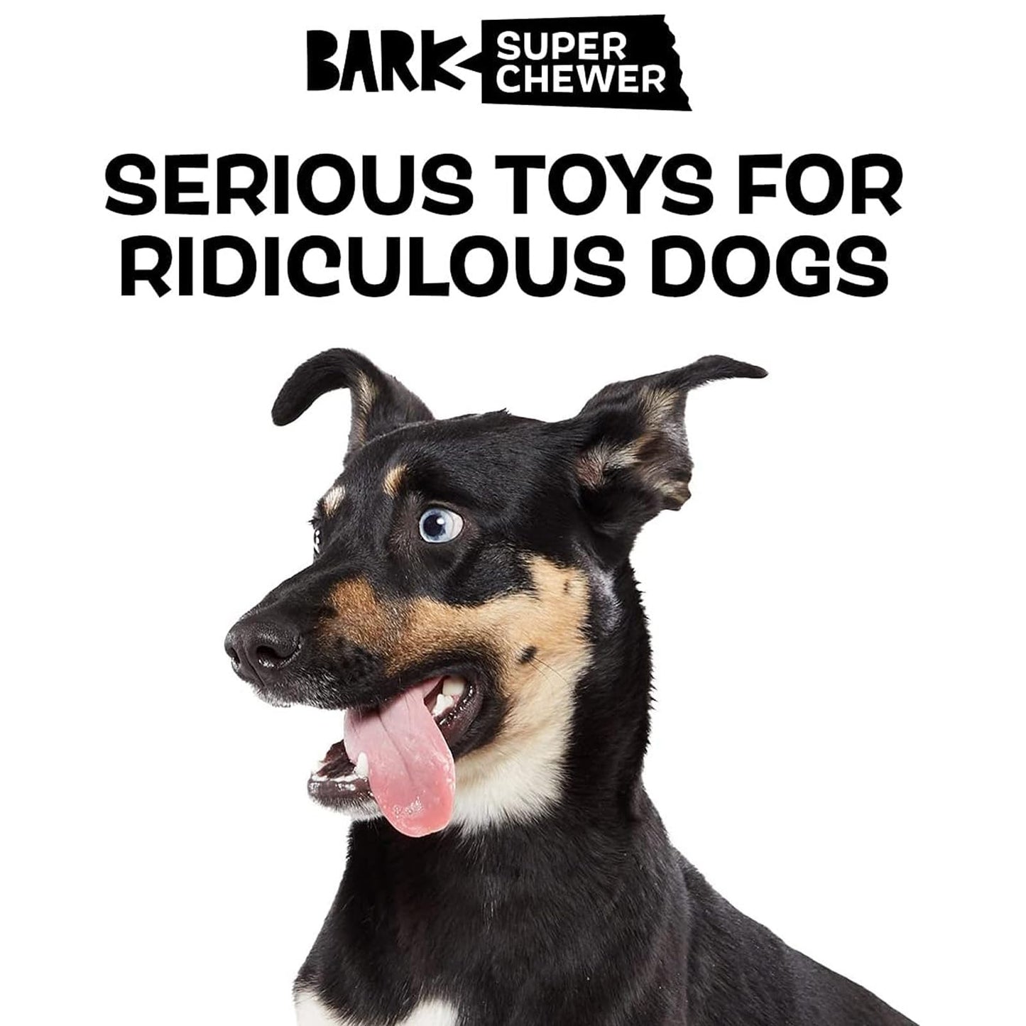 Barkbox Super Chewer Tough Dog Chew Toys for Aggressive Chewers, Plush 2 Toys in 1 (Panda - Large)