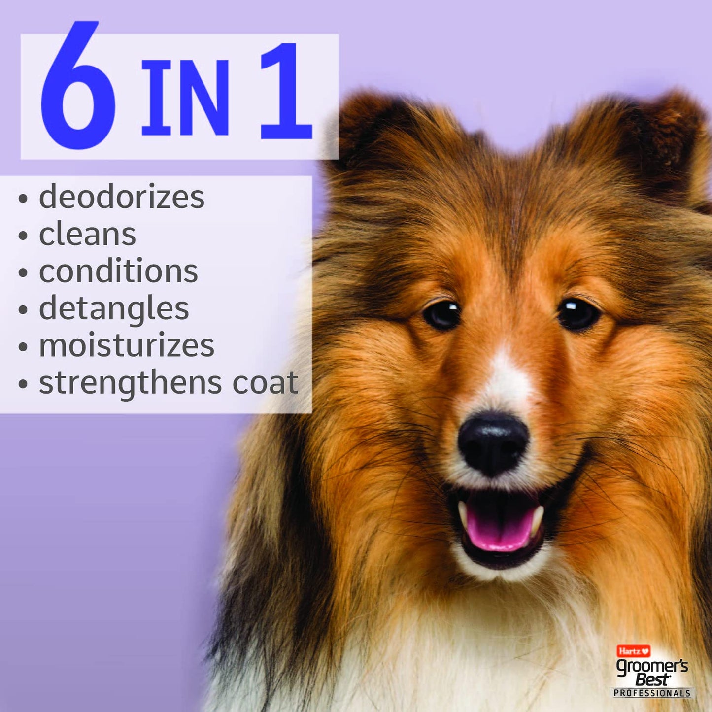 earthbath Hypoallergenic Natural Aloe Dog Shampoo - Puppy Shampoo for Dry, Itchy, & Sensitive Skin, Dog & Cat Anti Itch Pet Wash, Fragrance Free - 16 Oz (1 Pack)