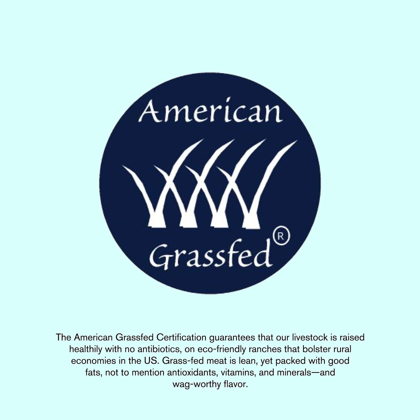 WEST PAW All-Natural Raw Freeze-Dried Dog Treats – Farm-Fresh Beef Heart Training Treats for Dogs with Iron, Folate, B-Vitamins – Wholesome Canine Treat for Puppies, Senior Dogs – 2.5 Oz.