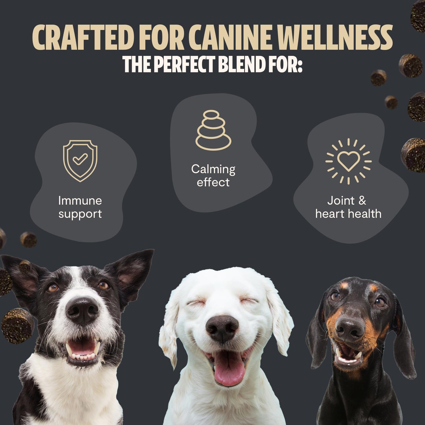 FreshCap Mushrooms Shroomies - 13 in 1 Turkey Tail Mushroom for Dogs, Super Blend Mushroom Supplement for Dogs, Dog Immune Support, Calming Treats (180 Soft Chews)