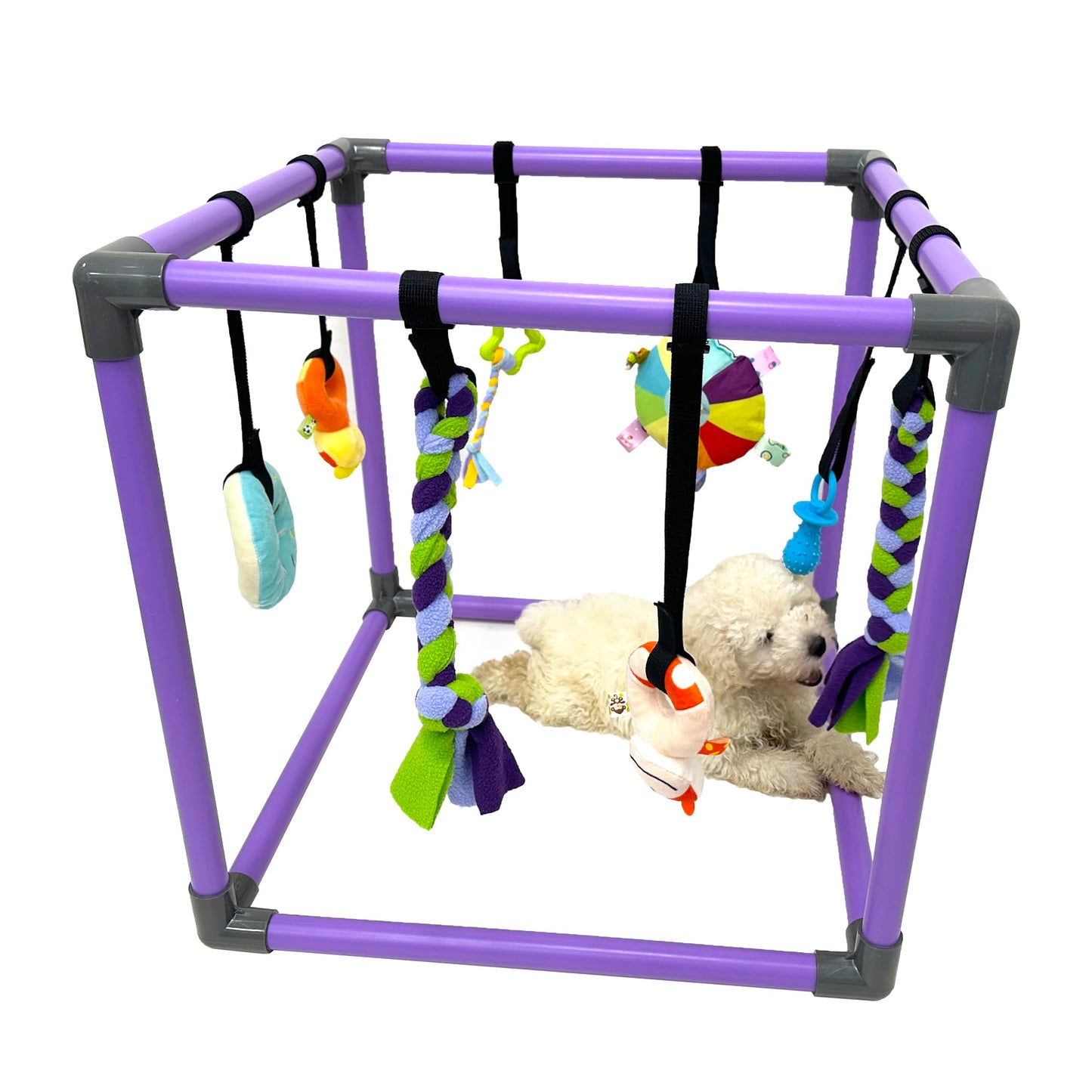 DOZZOPET Puppy Play Gym for Small Dogs with 8 Hanging Toys, Jungle Playground with Interactive Funny Enrichment Toys to Keep Them Busy