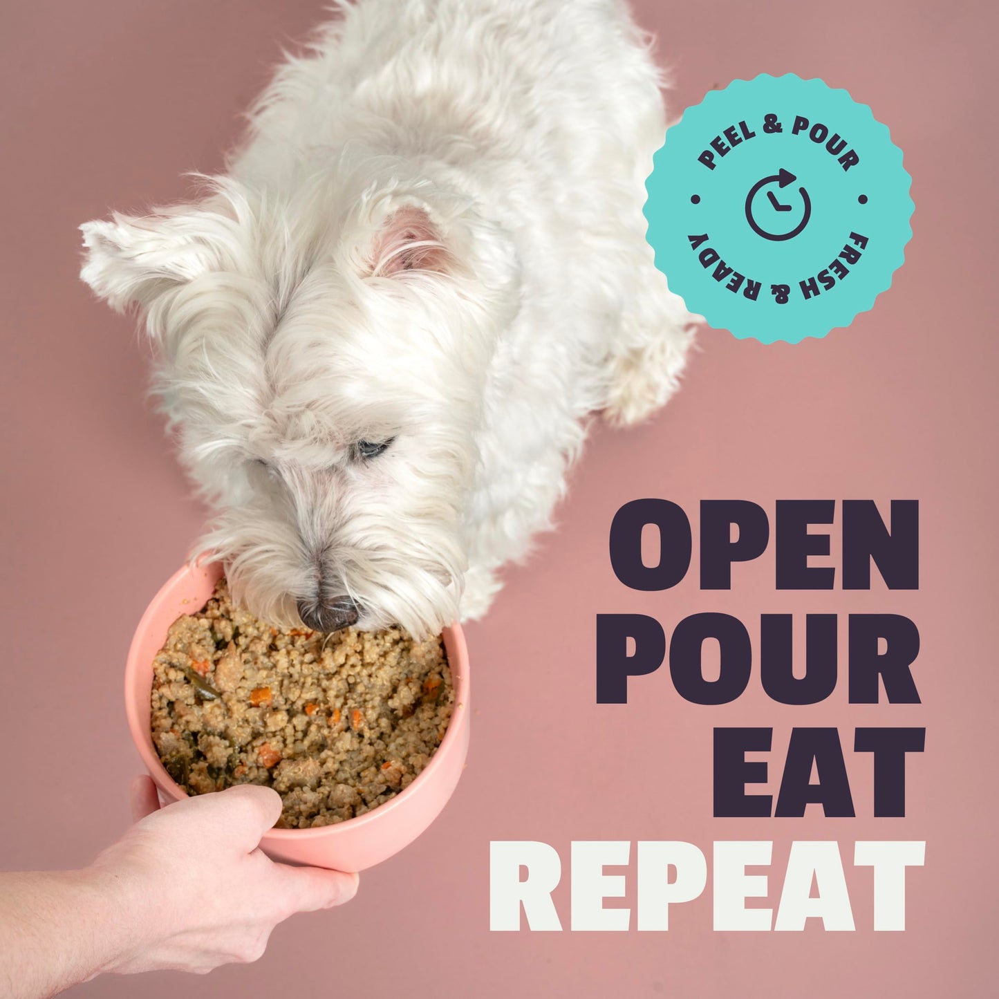 Fresh Dog Food, All Natural Complete Meal or Kibble Topper, Shelf Stable Premade Wet Recipe with Added Vitamins & Minerals for Picky Eaters Puppies Seniors (Beef, 6 x 8.75oz Cartons)