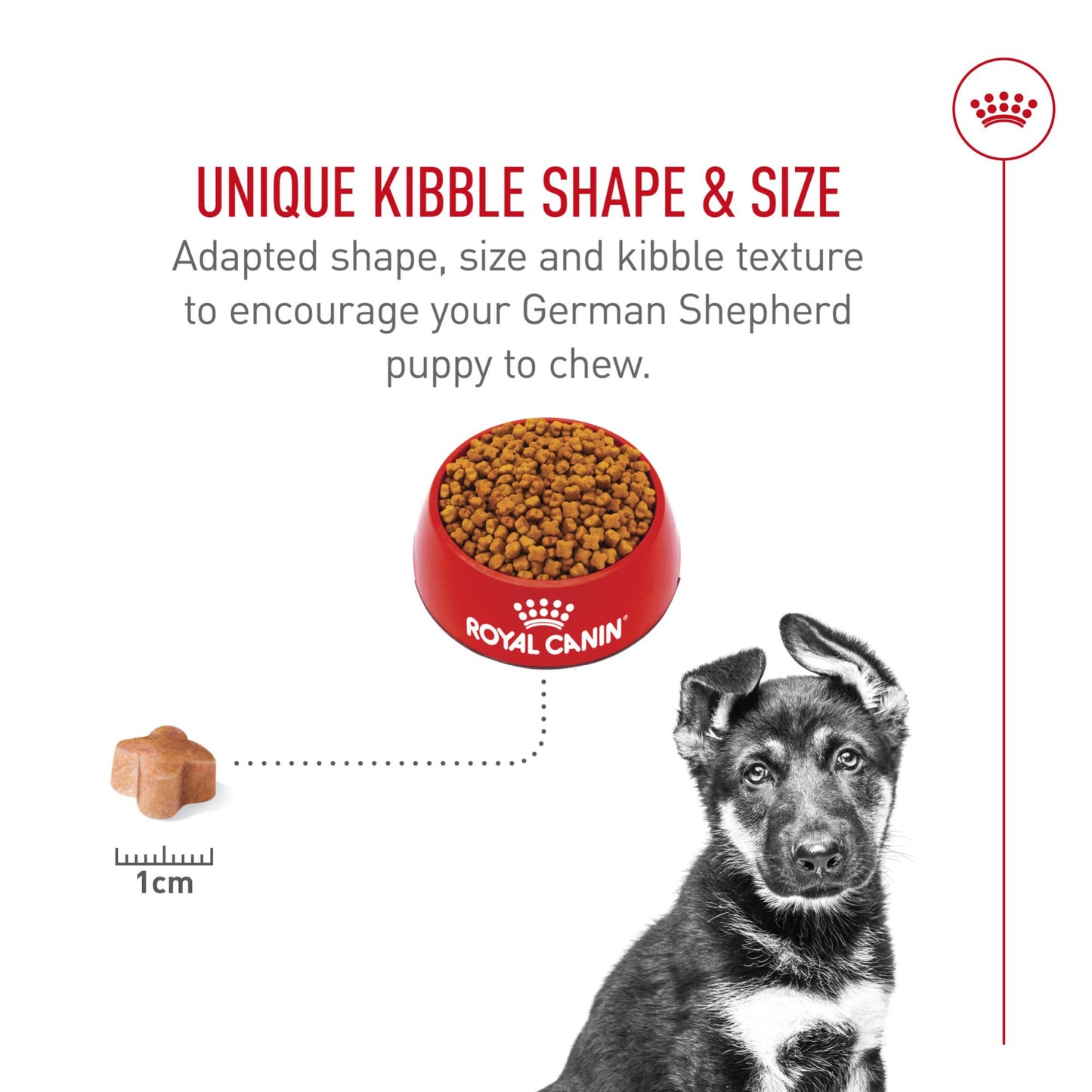 Royal Canin German Shepherd Puppy Breed Specific Dry Dog Food, 30 lb. bag