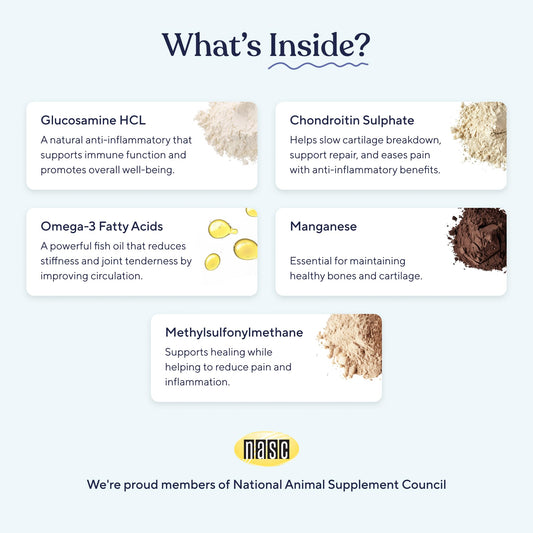 Pawfy Hip & Joint Supplement for Dogs with MSM & Vitamins | Glucosamine Chondroitin for Small, Medium & Large Breed - Supports Mobility & Bones | Glucosamine for Dogs with Omega 3-30 Chews