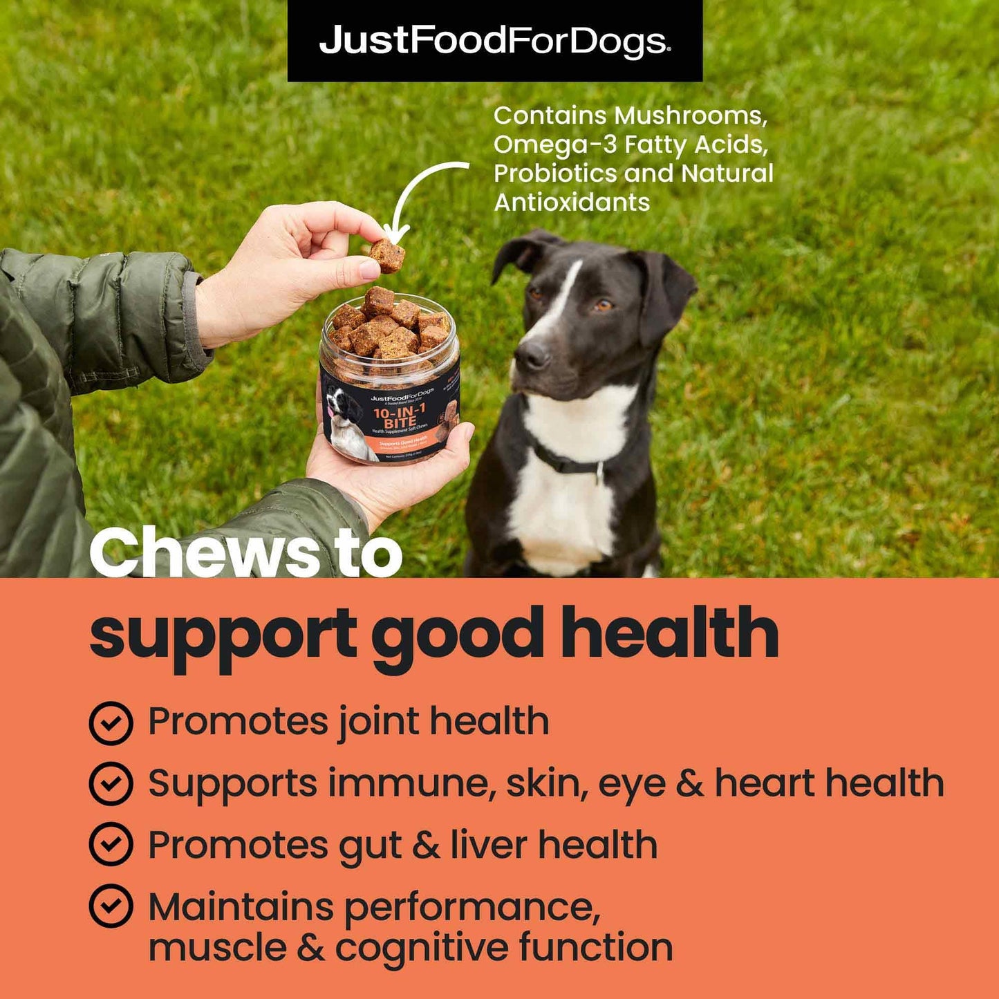 JustFoodForDogs 10-in-1 Multifunctional Supplement Chews for Dogs, Superfood Blend, Glucosamine, Omega-3 Fatty Acids, Skin Health, Joint Health, Probiotics, Plant-Based, Human Grade - 45 Count