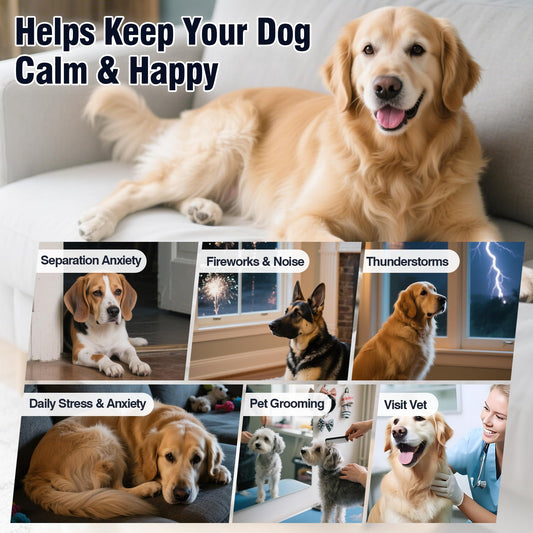 Calming Chews for Dogs 200ct Hemp Dog Calming Chews - Anxiety and Stress Relief Treats Melatonin Bites Sleep Aid for Small/Medium/Large Dogs Calm Dog - Separation, Fireworks, Thunder, Barking,Chewing