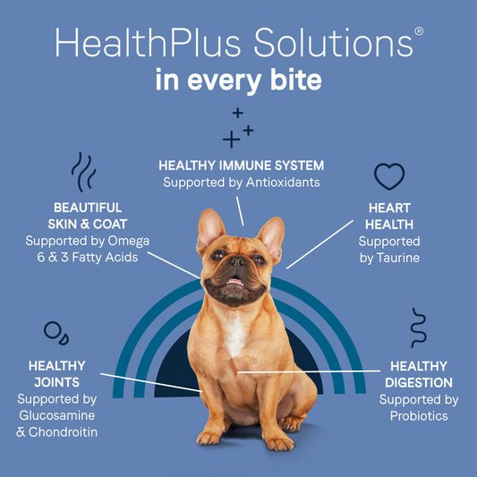 Canidae Pure Petite Premium Dry Dog Food for Small Breeds, Chicken & Wholesome Grains Recipe, 10 lbs.