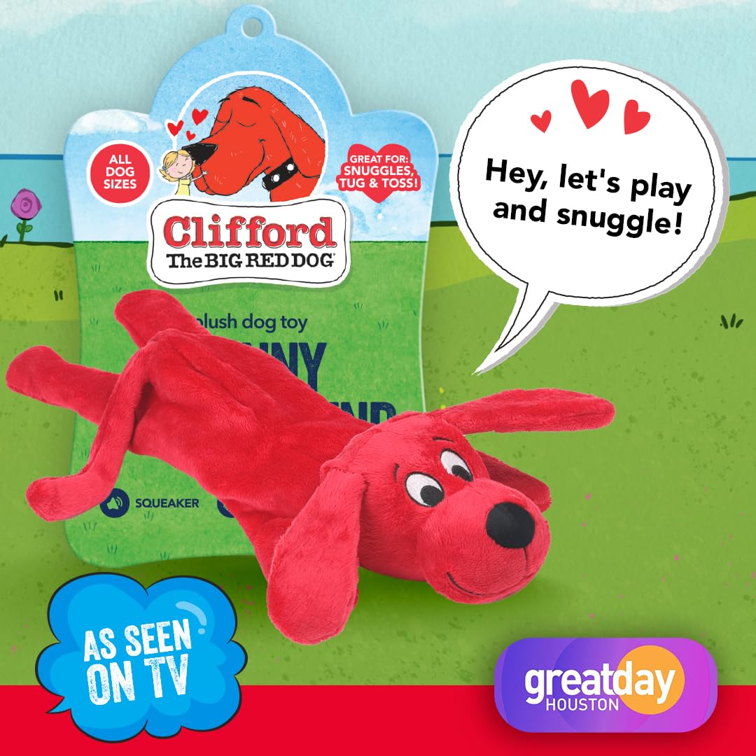 Plush Squeaky Dog Toy – Soft Crinkle Dog Toy with Squeaker for Small Dogs and Puppies –Puppy Plush Chew Toys, Cute Toys for for Puppies with Squeaker (Skinny Furry Friend)