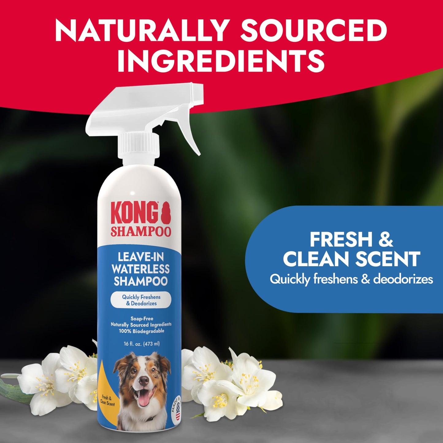 KONG Leave-in Waterless Shampoo for Dogs – Fresh & Clean Scent, 16 fl oz – No-Rinse, Biodegradable, Alcohol-Free, Dye-Free, Cruelty-Free, Gentle on Sensitive Skin, for All Coat Types, Made in USA
