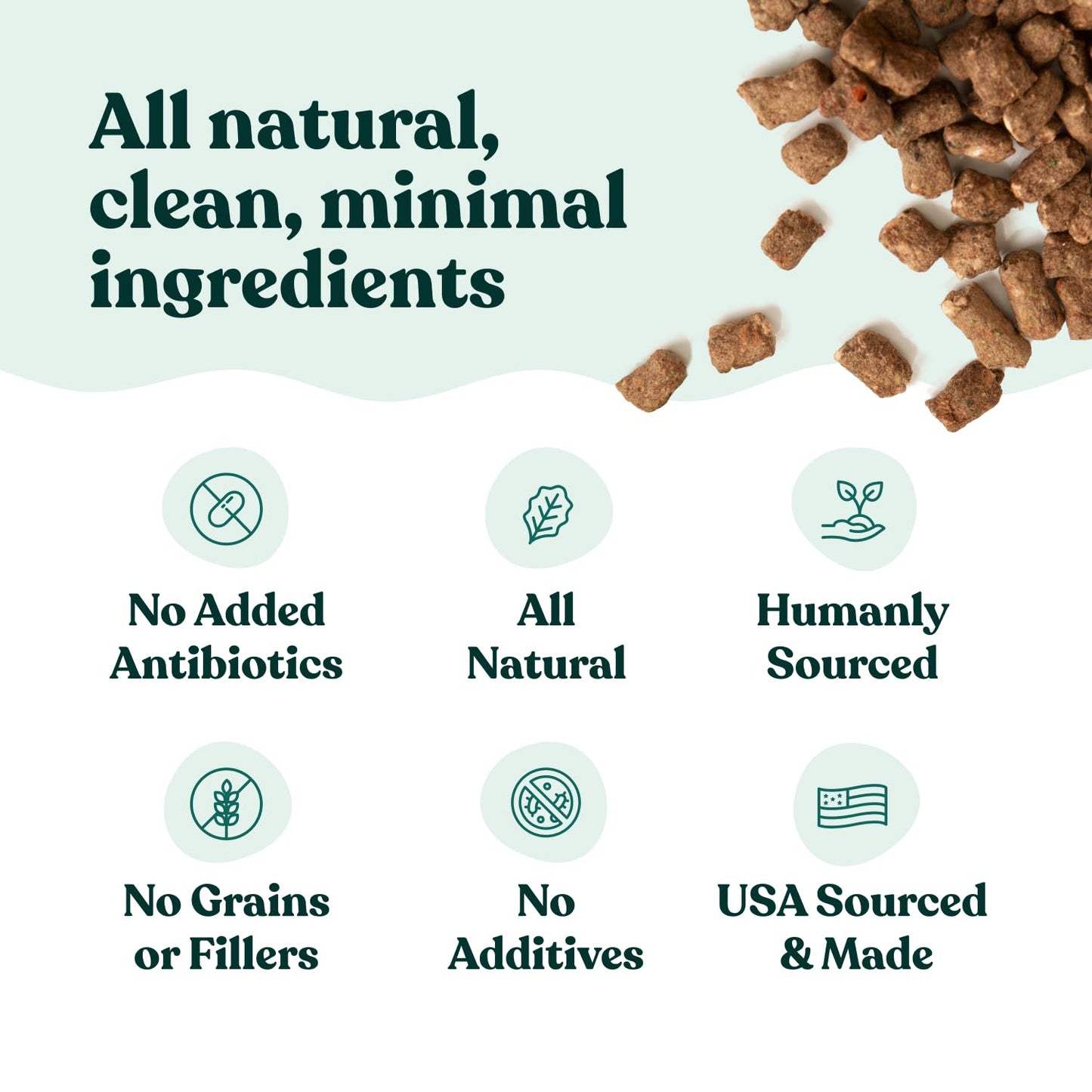 Little Hunter- Freeze Dried Dog Food Raw USDA Beef | for Small & Large Breeds | High Protein + Organic Fruits & Veggies Veterinarian Made Small Batch