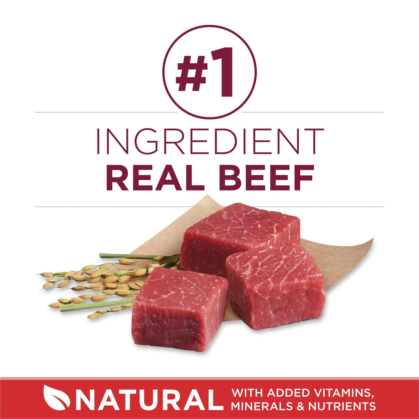 Purina ONE Small Bites Beef and Rice Formula Small High Protein Dry Dog Food Natural With Added Vitamins, Minerals and Nutrients - 8 lb. Bag