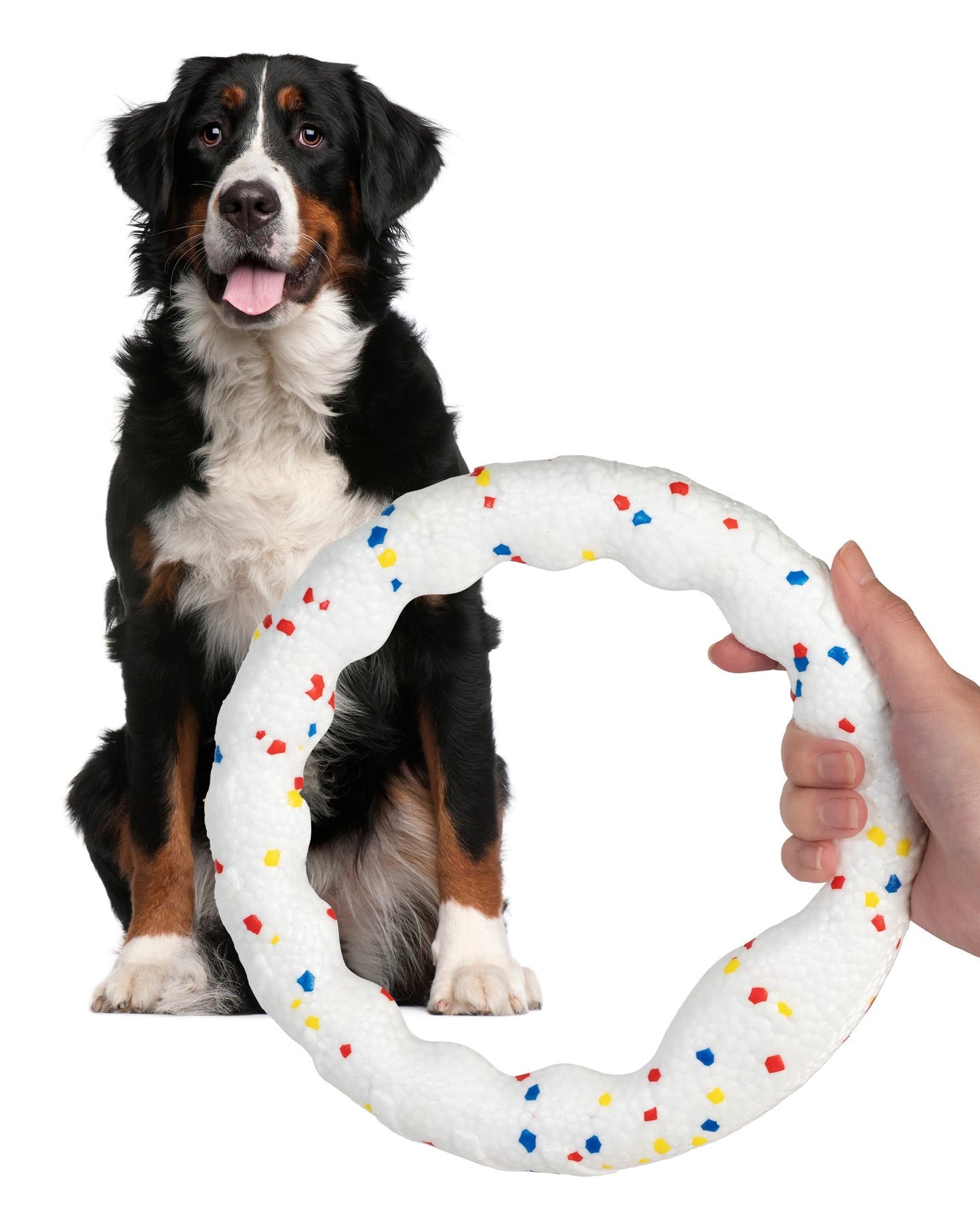 ALPI Chomp Ring - Durable, Soft, & Squishy Bite Puppy Toys for Dogs & Other Pets - Stimulating Dog Toys for Sensory Play & Fun (Large)