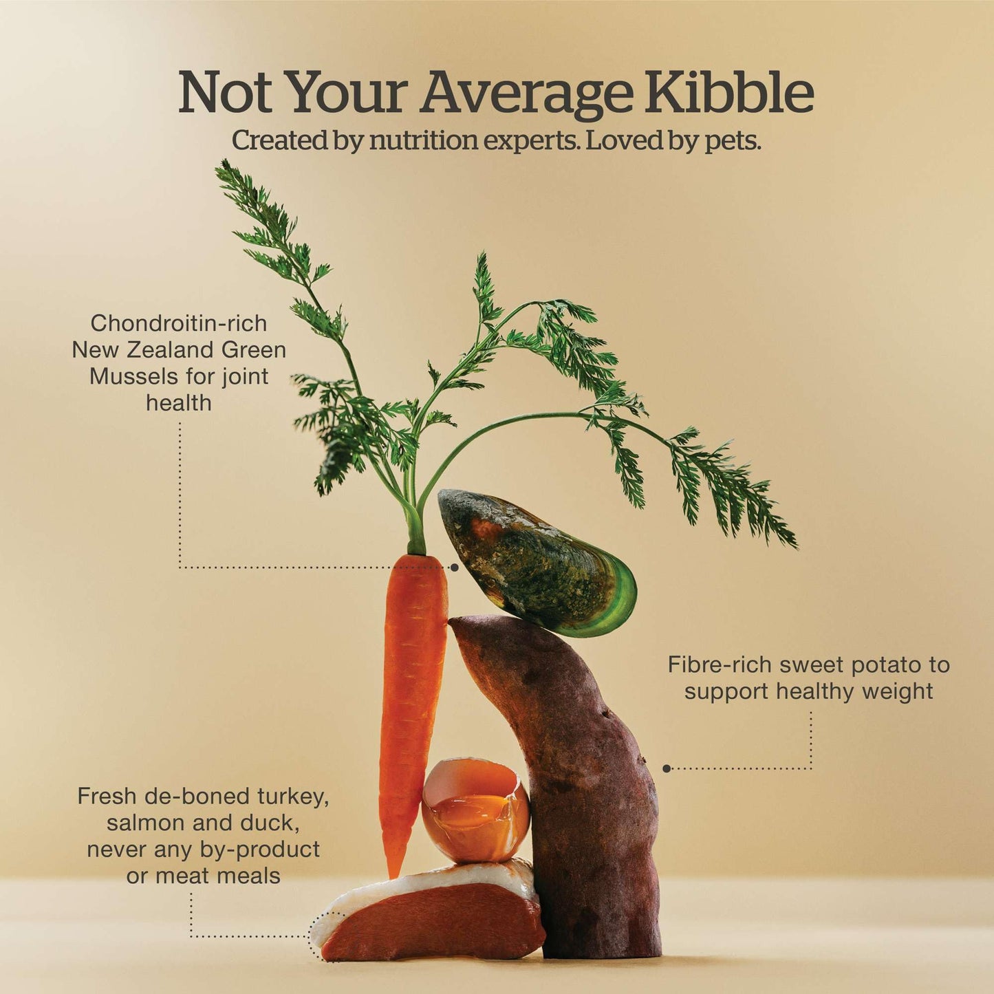 Now Fresh Grain-Free Senior Dry Dog Food with Turkey, Salmon & Duck, Premium Kibble Made with Real Meat & Fish, Chicken-Free Recipe, Glucosamine & Chondroitin for Healthy Joints, 22 lb Bag