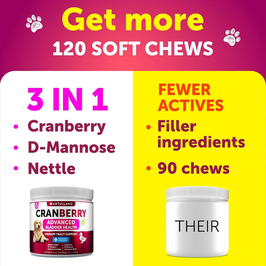 Hip and Joint Supplement + Dog UTI Treatment Bundle - Glucosamine Chews - Mobility Support - Cranberry Supplement & Bladder Control for Dogs - Chondroitin, MSM