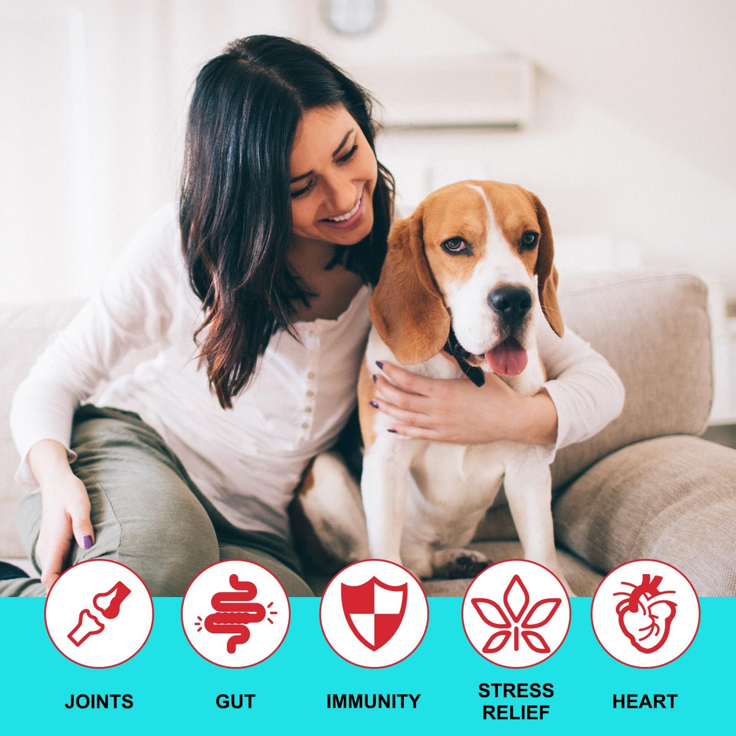 Zoomie 2.0 Buddy, Interactive Dog Toys, Treat Dispensing Dog Puzzle Toy for Small, Medium, Large – D og Feeder Puzzle Toy, Enrichment Toys Fun Toys to Keep Them Busy Indoors or Outdoors