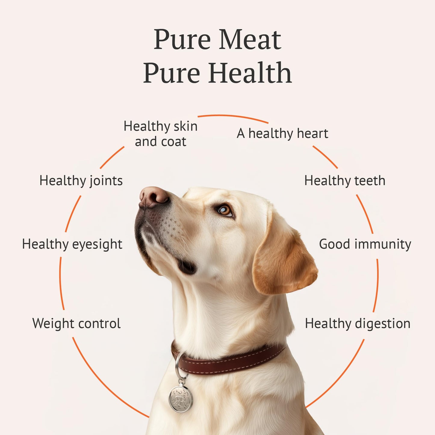 Freeze Dried Raw Dog Food, 100% Donkey Meat, Allergy Relief, Monoprotein, Training Treats or Toppings, Single Ingredient, All Natural, for Puppies, Adults and Seniors, 3.17 oz Bag