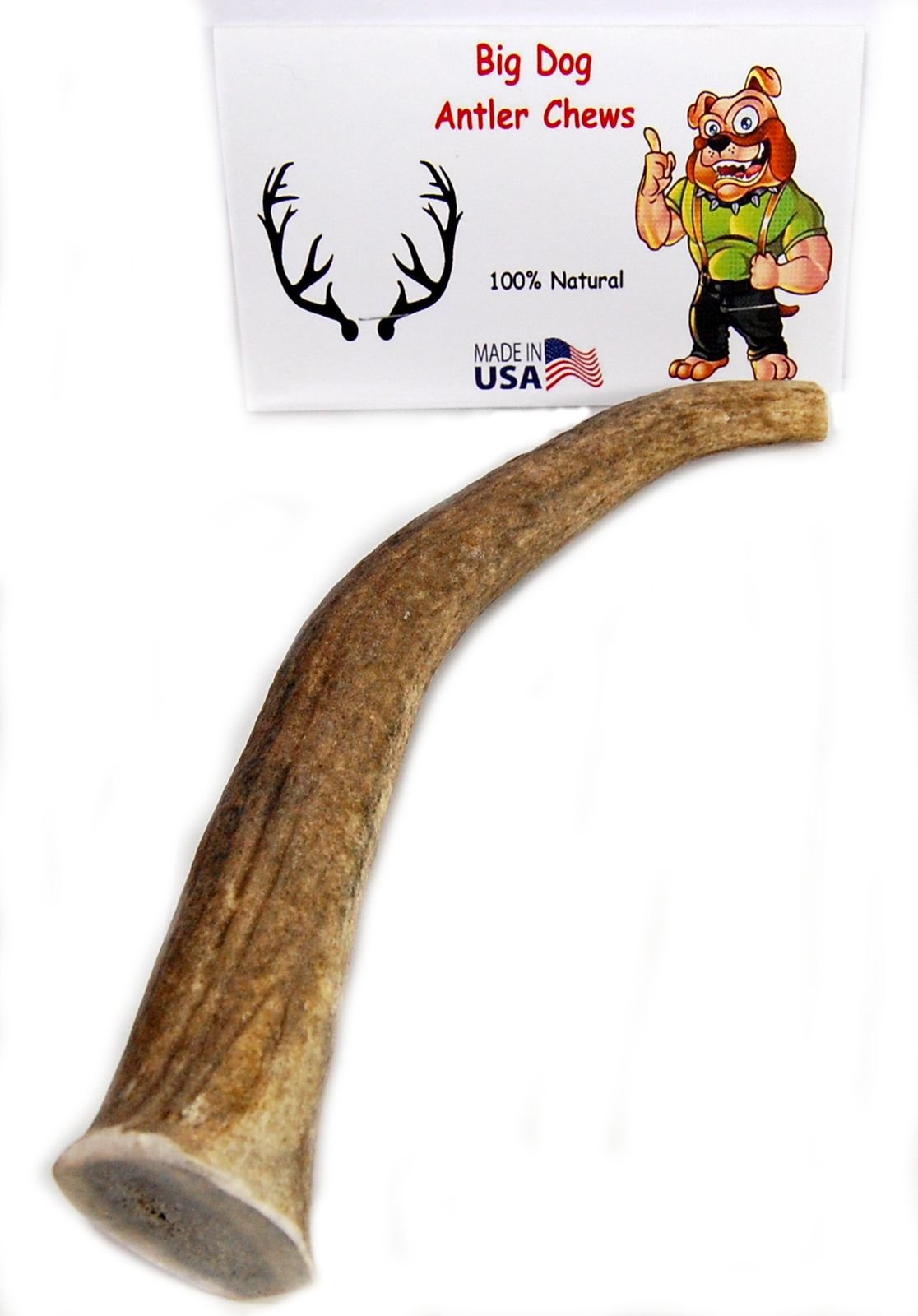 Big Dog Antler Chews Elk Antler Dog Chew, Extra Large Tine, 8-12 inches, XL - Great for Large Dogs and Puppies