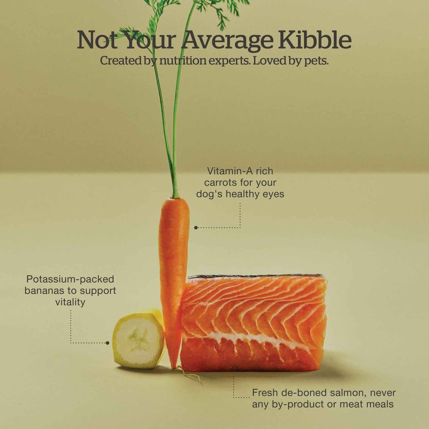 Now Fresh Good Gravy, Bone Broth Coated Kibble, Dry Dog Food, Salmon Adult Recipe with Grains, All Breed Size, 3.5 lb Bag