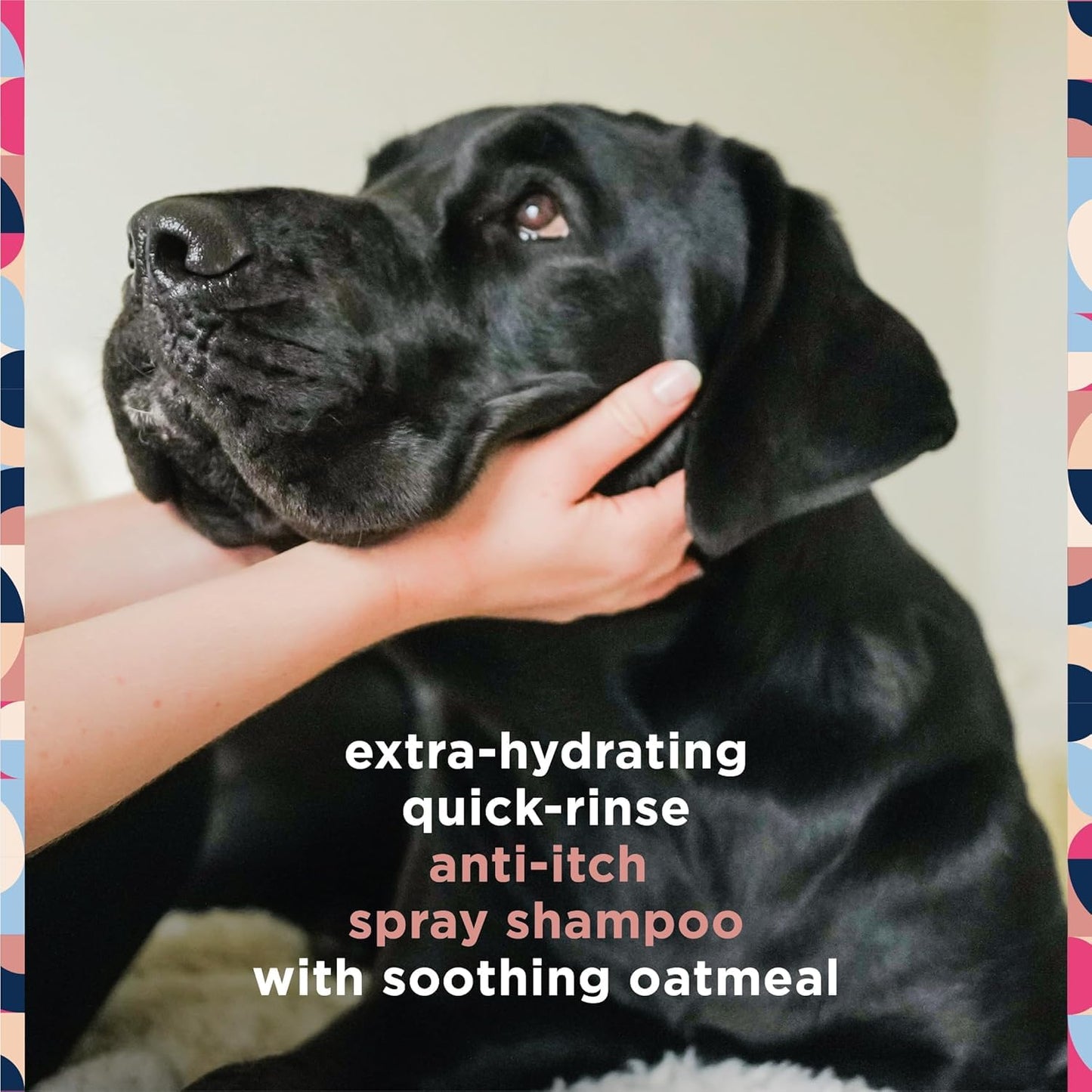 Pet Life Unlimited Dog Shampoo, Anti-Itch Spray Shampoo & Cleansing Dog Wipes, Fragrance Free (72 ct) Bundle - Pet Wipes for Dogs, Dog Cleaning Wipes - Plant-Based Dog Wipes with Moisturizing Aloe